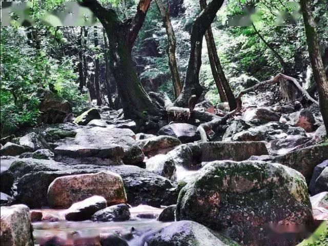 京东盘中异动 早盘股价大涨6.58%