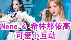 荠菜肉馅怎么调游戏画面