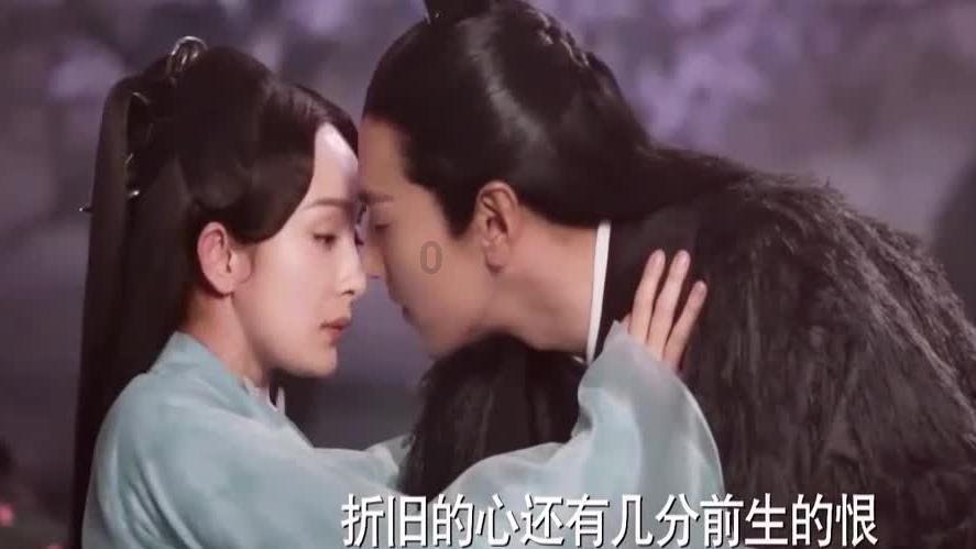 寻找火鸡