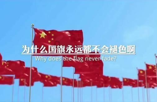 玩具熊五夜后宫4