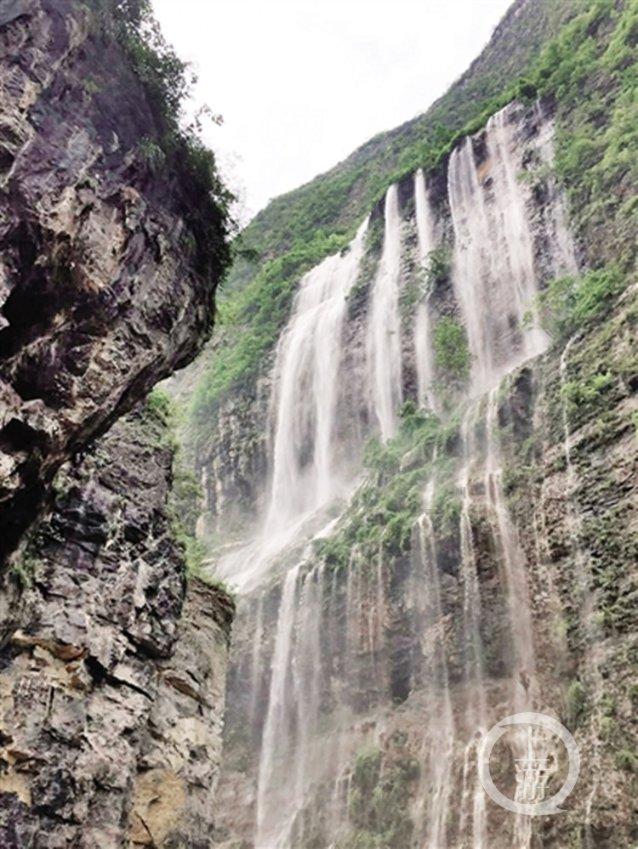 婚姻介绍所可以办理个体营业执照吗?税是多少?-最佳问答类网站